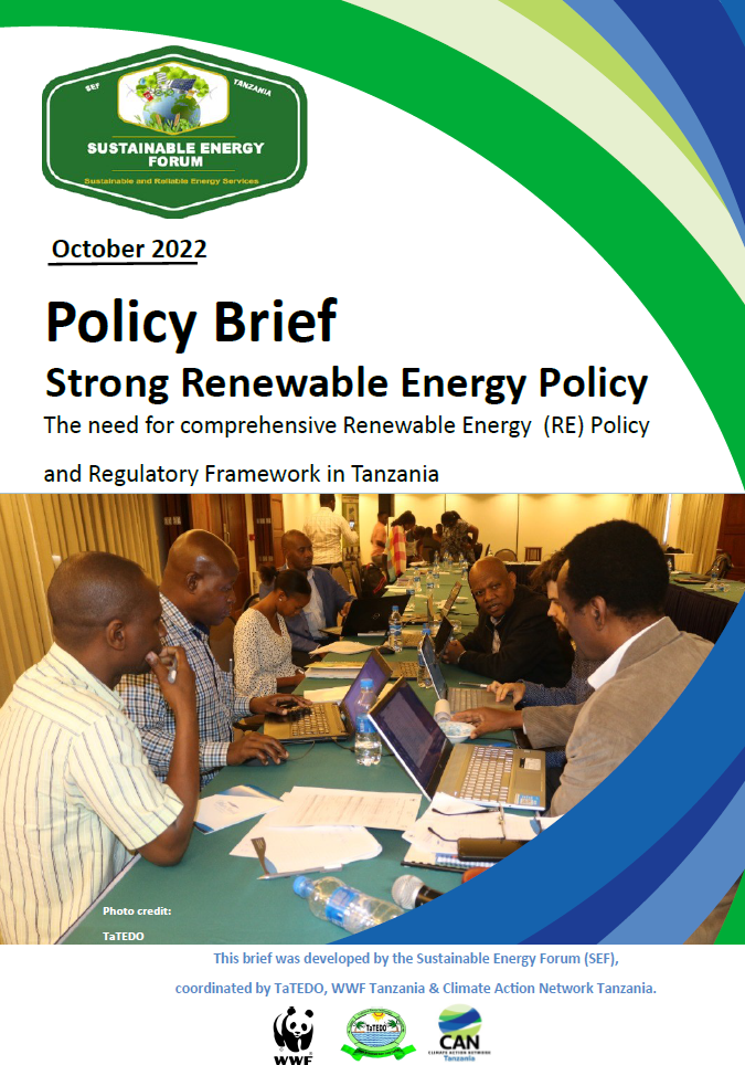 Policy Brief:  Strong Renewable Energy Policy
