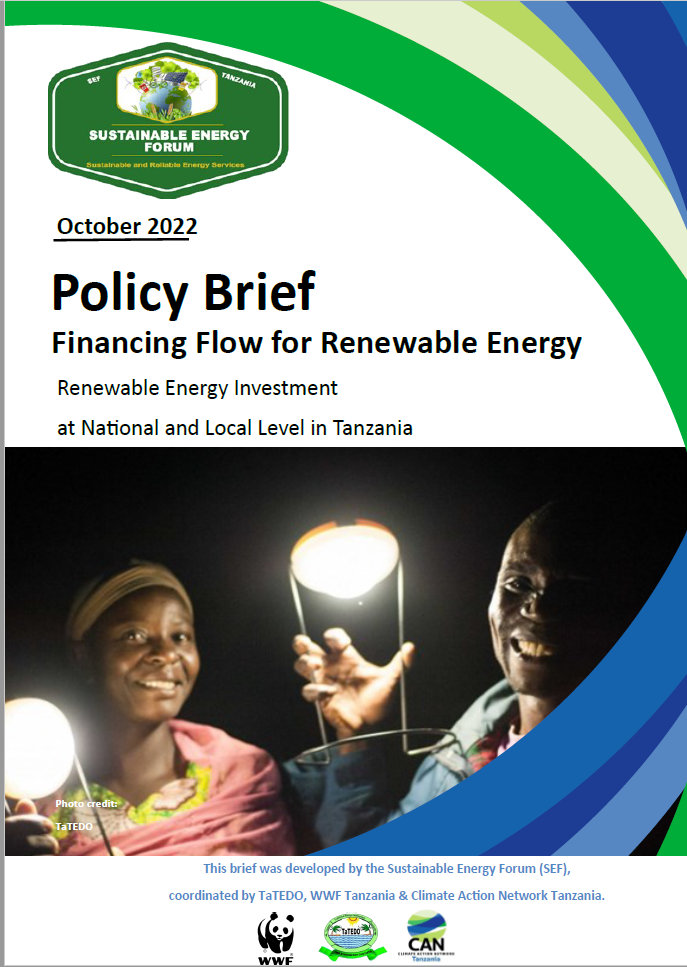 Policy Brief: Financing Flow for Renewable Energy