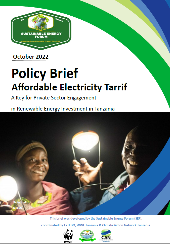 Policy Brief: Affordable Electricity Tarrif