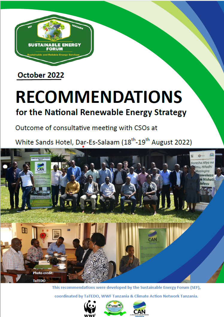 RECOMMENDATIONS FOR THE NATIONAL RENEWABLE ENERGY STRATEGY